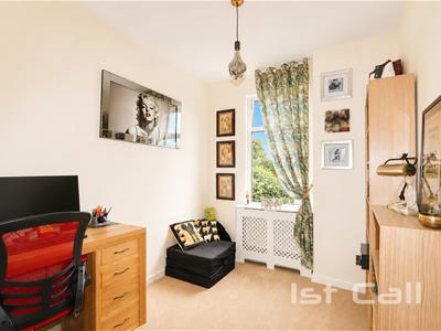 Picture 12